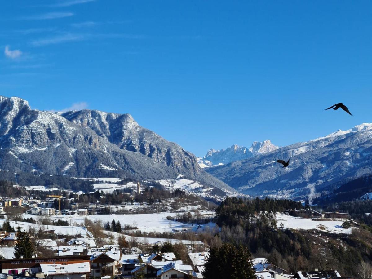 Terrazza Sulle Dolomiti Lejlighed Castello-Molina di Fiemme Eksteriør billede